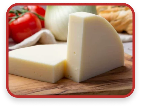 QUESO PROVOLONE